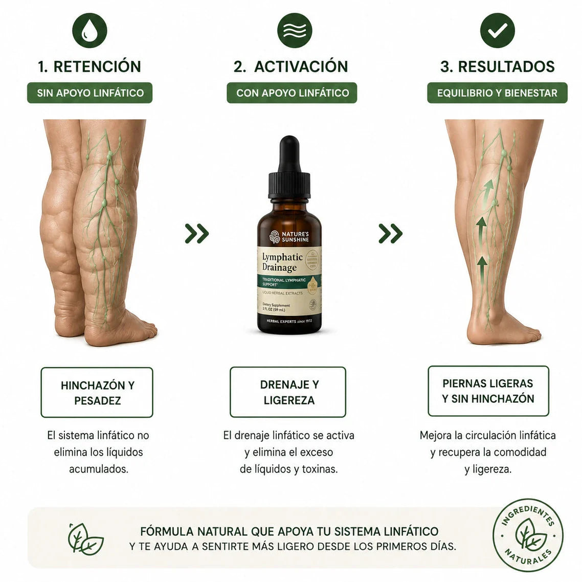 Lymphatic Drenaige: Elimina Lo Que Tu Cuerpo No Necesita 🧘🏻