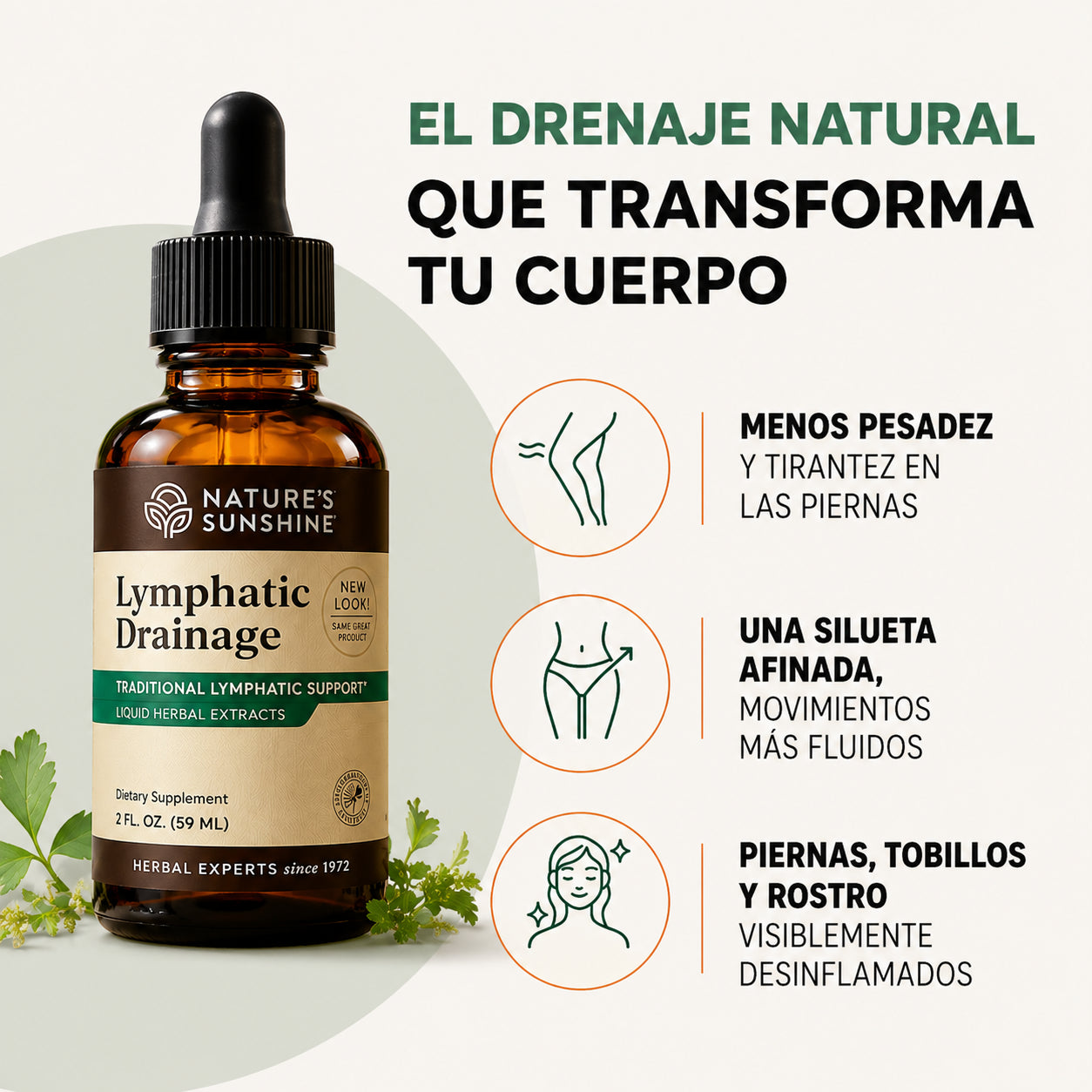 Lymphatic Drainage: Elimina Lo Que Tu Cuerpo Ya No Necesita. 🧘🏻